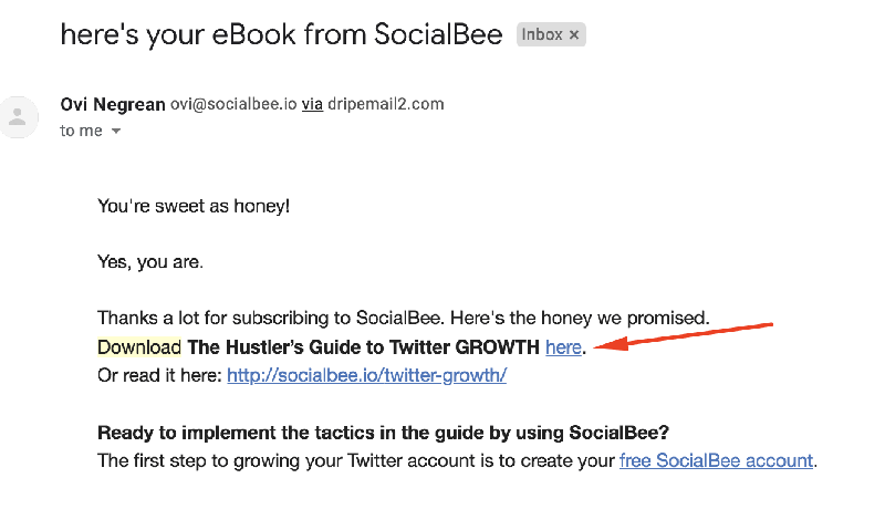 lead-magnets-ideas-email